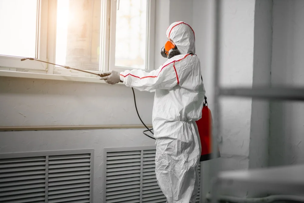 Professional mold remediation services in Deerfield, IL